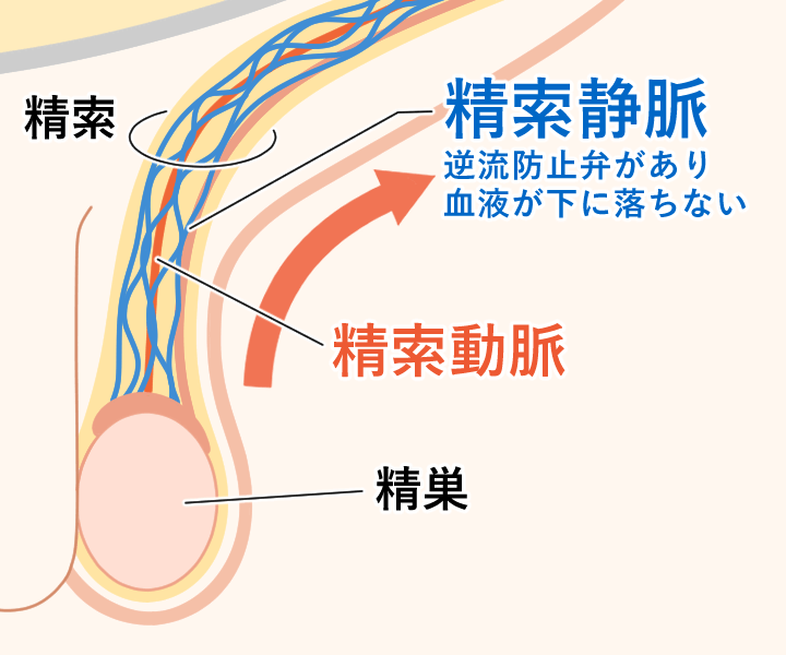 正常な状態