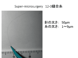 Super microsurgery 12-0 anastomosis thread