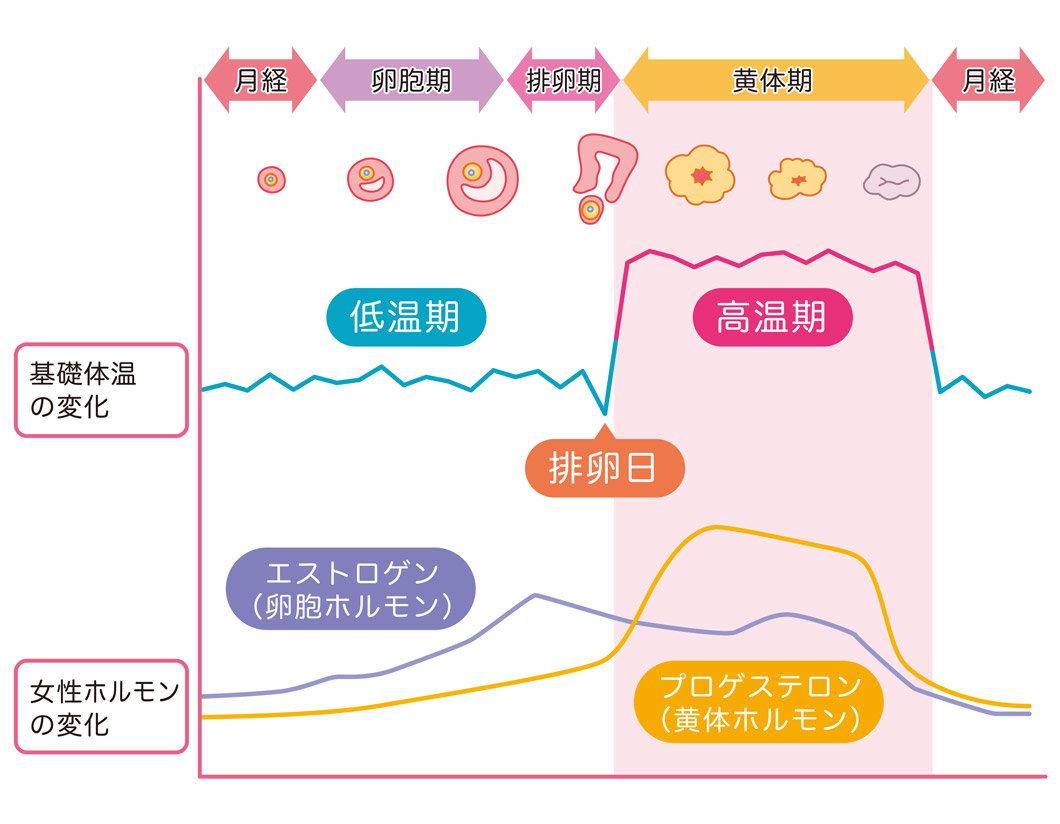 タイミング法