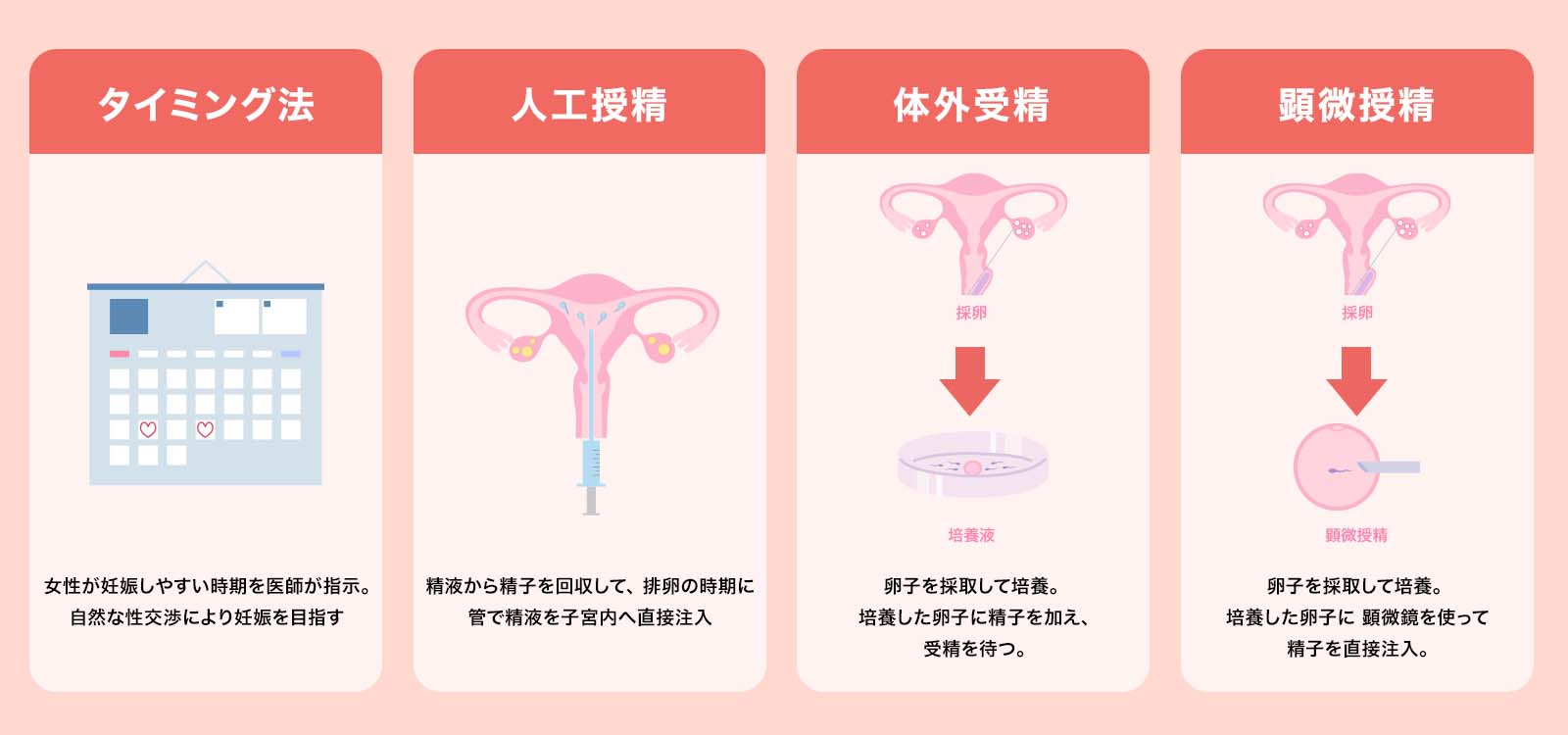 人工授精説明画像